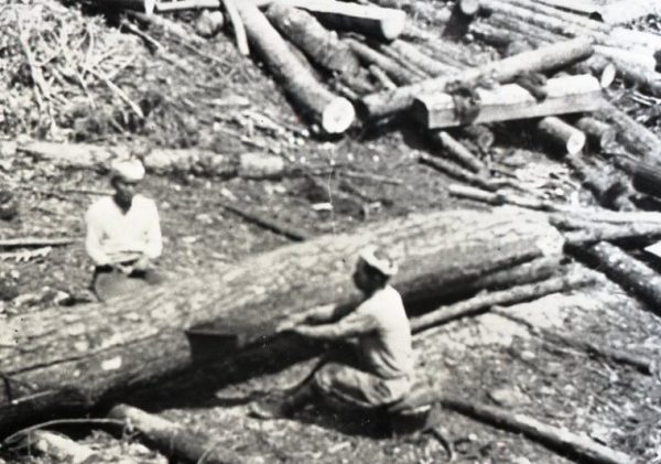 木挽での製材風景(昭和12年頃撮影)
