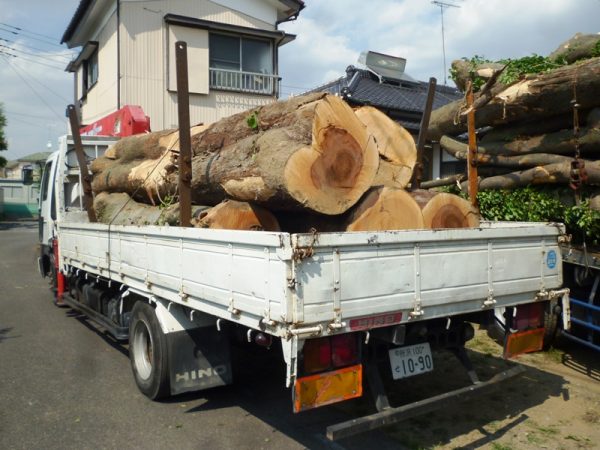 大径木伐採材積載
