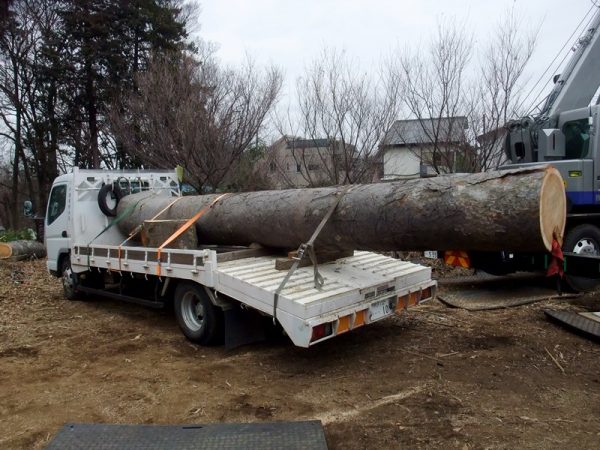 長尺大径木伐採材積載