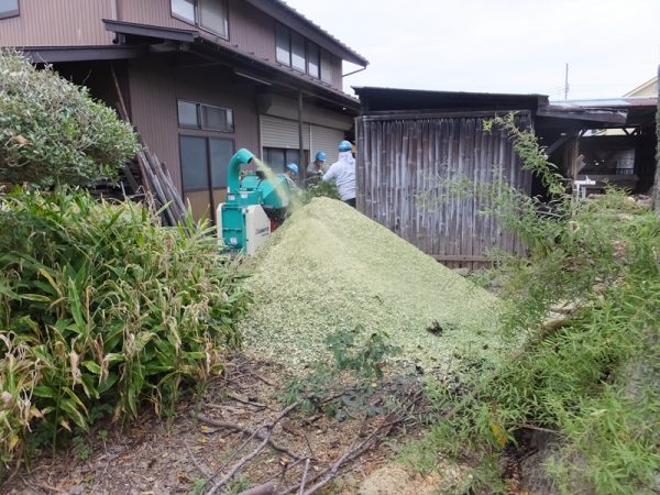 枝葉粉砕作業