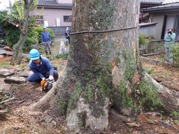 元伐り②