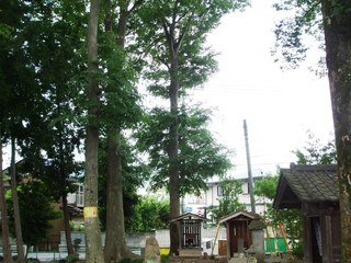 201661222942.JPG