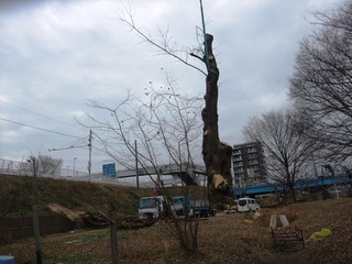 2021110224242.JPG