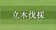 立木伐採