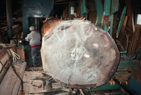 長物・大物対応の製材工場を完備。伐採した木を当社で製材する ことができます。