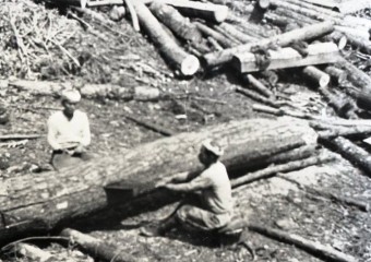 木挽での製材風景(昭和12年頃撮影)サムネイル